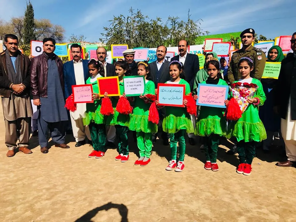 Green Seekers Activity